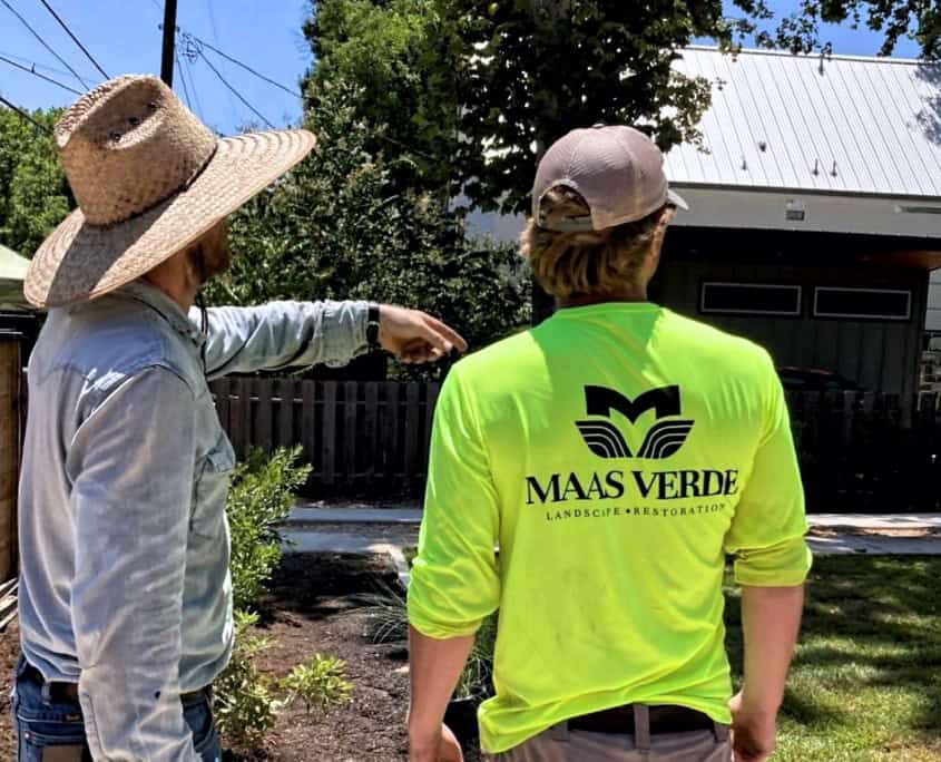 two team members discussing landscape maintenance plans 