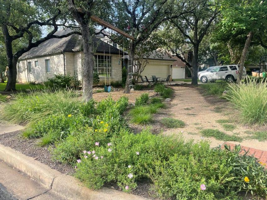 front yard with new plants and granite pathway