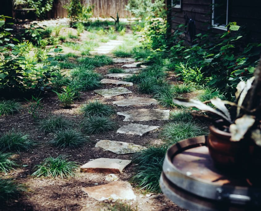 walkway around rain garden
