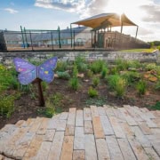 projects_violet_crown_1