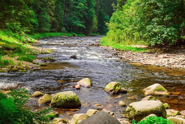 river with rocks in it and greenery around it